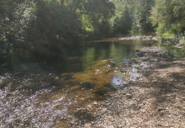 Excursión Senderismo Hyères - verger du pont - Photo