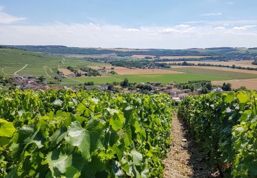 Tocht Stappen Charly-sur-Marne - Circuit des éoliennes de la Picoterie - Photo