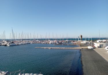 Tocht Stappen Le Grau-du-Roi - Le Grau-du-Roi-Port Camargue (le 11-01-2022) - Photo