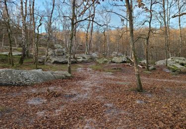 Trail Walking Coincy - La Hottée du 29-11-2024  - Photo