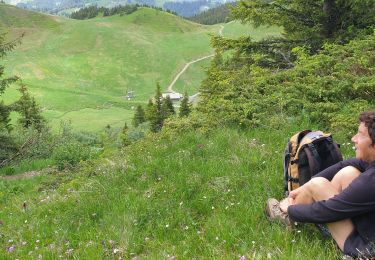 Tour Wandern Megève - Crêt du midi-Ban Rouge-Vorès - Photo