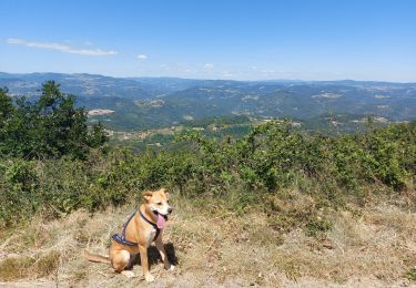 Tour Wandern Saint-Vincent-de-Durfort - croix de grua - Photo