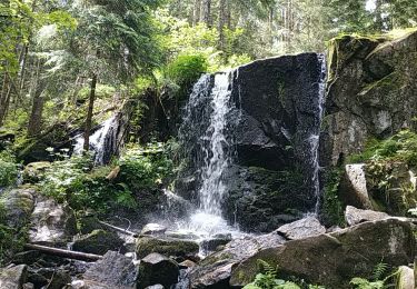 Trail Walking Gérardmer - 11-06-2022 saut de la bourrique, cascade de mer elle , tête de merelle. - Photo