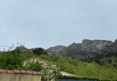 Trail Walking Revest-les-Roches - Revest les Roches - le Mont Vial - Photo