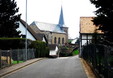 Randonnée A pied Zülpich - EifelSchleife Via Agrippa - Photo