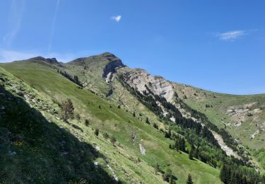 Tocht Stappen Lus-la-Croix-Haute - Antécime de La Toussière - Photo