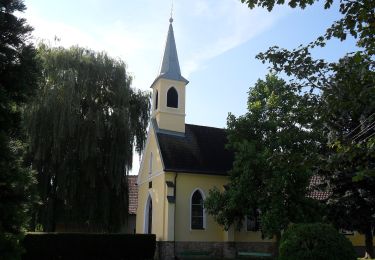 Tocht Te voet Gemeinde Natschbach-Loipersbach - Rundwanderwege Natschbach - Loipersbach - Lindgrub NL1 - Photo
