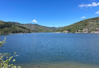 Randonnée Marche Villefort - Tour du lac de Villefort - Photo