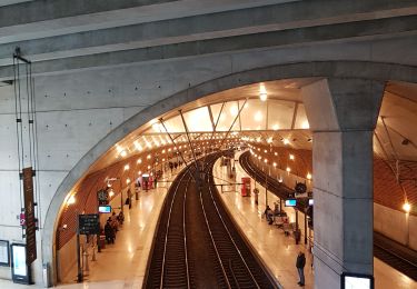 Tour Wandern Èze - EZE gare-MONACO gare  - Photo