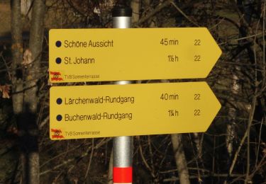 Tour Zu Fuß Sankt Veit im Pongau - St. Veit-Kinderalm über Seelacken - Photo