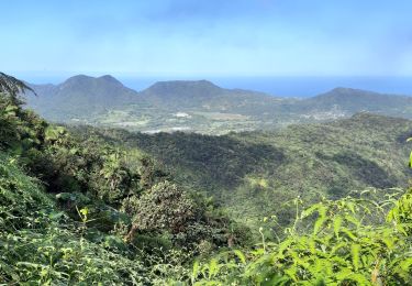 Excursión Senderismo Le Lorrain - Boucle Morne Jacob - Photo