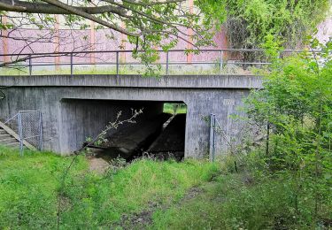 Trail On foot Lichtenberg - Gelber Strich 