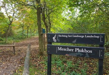 Trail Walking Eijsden-Margraten - Mesch - Photo