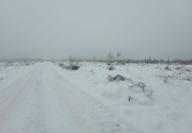 Tour Wandern Hohenfels - rando pisserotte 27-01-2023 - Photo
