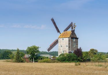 Randonnée A pied Am Mellensee - Saalower Mühlenweg - Photo