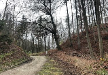 Randonnée A pied Embrach - Embrach - Tössegg Schiffsteg - Photo
