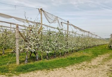 Tour Wandern Coincy - Coincy du 19-04-2022 - Photo