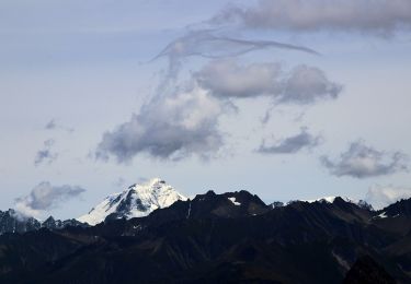 Percorso A piedi Courmayeur - Mont Fortin - Photo