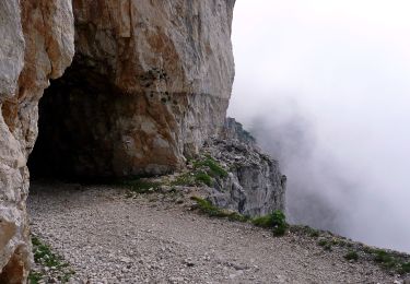 Trail On foot Vallarsa - Via ferrata 