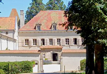 Percorso Marcia Condat-lès-Montboissier - Condat_Liberty_1 - Photo