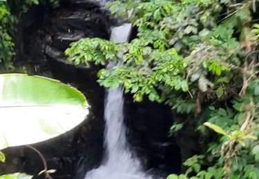 Tour Wandern Fort-de-France - Absalon  - Photo