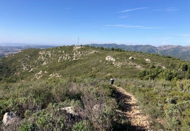 Trail Walking Allauch - La Paloire Rando Tamalous - Photo