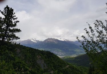 Tour Wandern Crots - Belvédère de colombier  - Photo