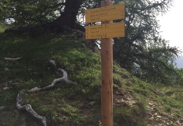 Tocht Stappen Moulinet - Fort de la Neggia - Photo