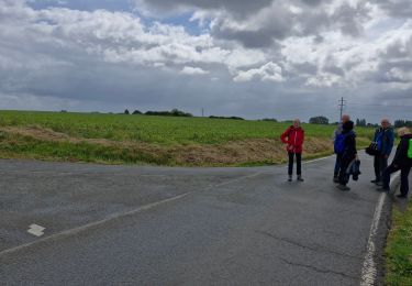 Trail Walking Wervicq-Sud - Montagne de Wervicq balisage printemps 2025 - Photo