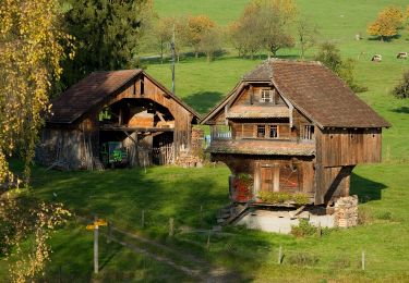 Tour Zu Fuß Grosswangen - Oberdorf - Dogelzwil - Photo