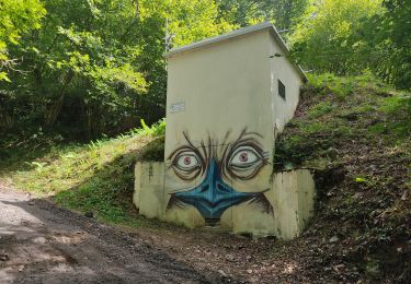 Randonnée Marche Ax-les-Thermes - Sorgeat et Ignaux au départ d'Ax les thermes - Photo