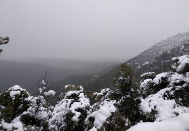 Trail Walking Escragnolles - Escragnolles , Rouyère chapelle Saint Matin en hiver - Photo