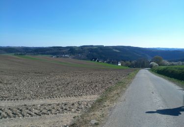 Tour Wandern Stauseegemeinde - Liefrange 1 - Photo