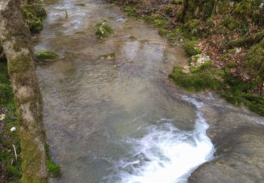 Tocht Stappen Dramelay - Dramelay Quinquenouille  - Photo