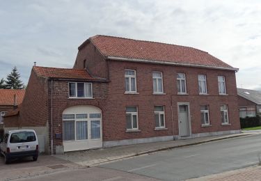 Tocht Te voet Maaseik - Oudsberg Groene rechthoek - Photo