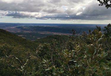 Trail Walking Saint-Chinian - Saint Chinian antenne  - Photo