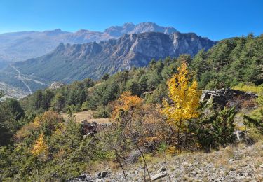 Tocht Stappen La Roche-de-Rame - la grande barre par cabane des aiguilles  - Photo