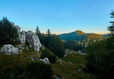 Tour Zu Fuß  - Staza zviri - Photo