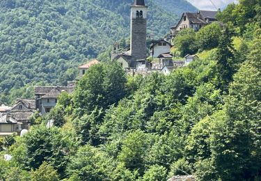 Excursión Senderismo Piedimulera - 17.06.2023 - Piedimulera - Le chemin muletier médiéval dans la Vallée Anzasca - Photo