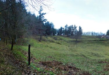 Tour Wandern Saint-Barthélemy-Grozon - GROZON  - Photo