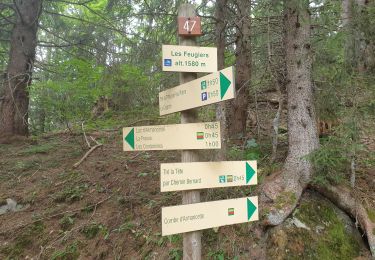 Tour Wandern Les Contamines-Montjoie - Très La Tête 10 08 2023 - Photo