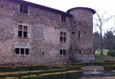 Randonnée A pied Saint-Ferréol-des-Côtes - Le Ruisseau des Escures - Photo