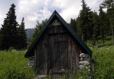 Tocht Te voet Gemeinde Reichenau an der Rax - Griesleiten - Waxriegelhaus - Neue Seehütte - Photo