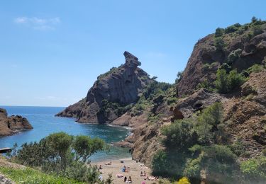 Randonnée Marche La Ciotat - 