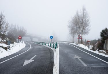 Percorso A piedi Guadarrama - [SL-M 44004] Vías Pecuarias - Photo