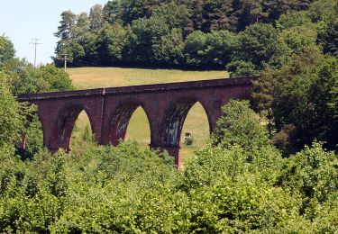 Tour Zu Fuß Oberzent - Rundwanderweg Hetzbach 2: Felsenmeer-Weg - Photo