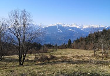 Tocht Stappen Arbaz - la sionne - Photo