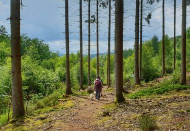 Tour Wandern Viroinval - Balade à Oignies-en-Thiérache - Le Ry d'Alise - Photo