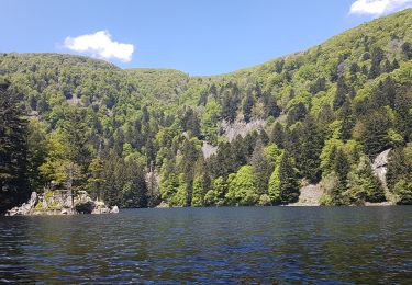Tour Wandern Mittlach - Lac d'Altenweiher - Photo
