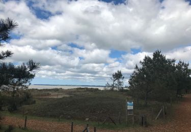 Randonnée Marche Saint-Brevin-les-Pins - St Brevin Mer et Dune - Photo